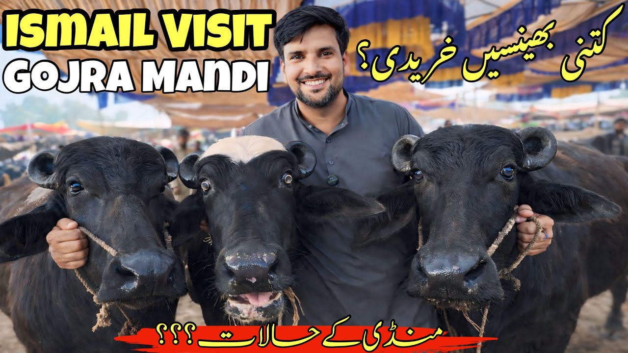Ismail Jutt  Visit Gojra Mandi
