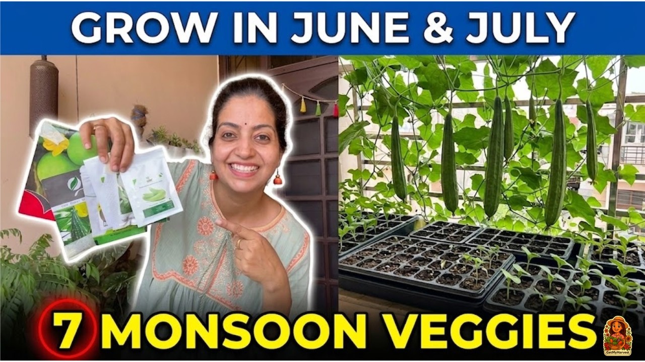 7 Vegetables to Grow in June & July (Monsoon Gardening Guide) ☔️🌱
