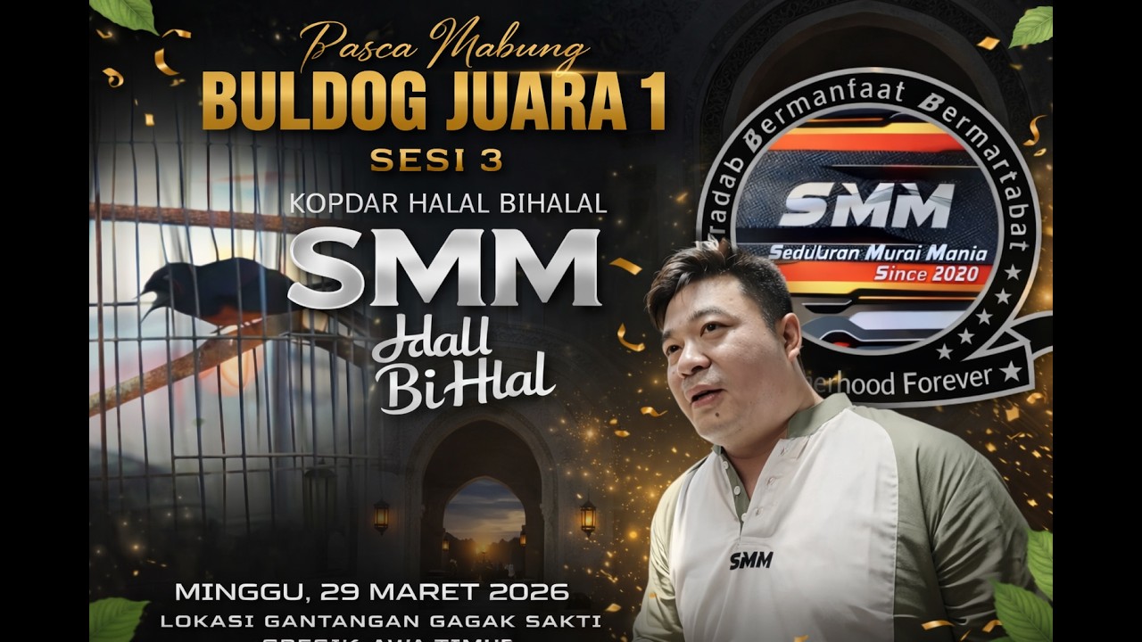 Pasca Mabung, Langsung Juara 1, Murai Batu Buldog Milik Randy Solo, Kopdar Halal Bihalal SMM.