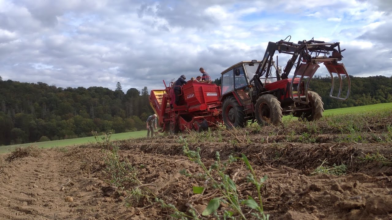 Bramborová 🥔kampaň 2023 /3x Zetor🚜speciál za 100 odběratelů