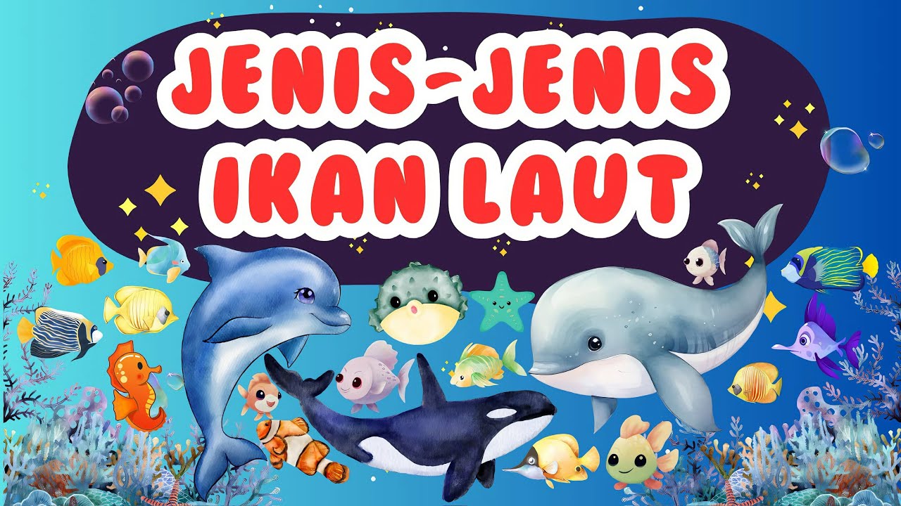 MARI BELAJAR MENGENAL JENIS-JENIS IKAN LAUT | Let’s Learn About Types of Sea Fish!