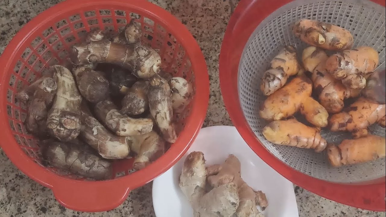 कच्ची हल्दी की सब्ज़ी इस तरह से बनायें। सर्दी,जोड़ों के दर्द में फ़ायदा होगा।बच्चे भी ख़ुश होकर खायेंगे।