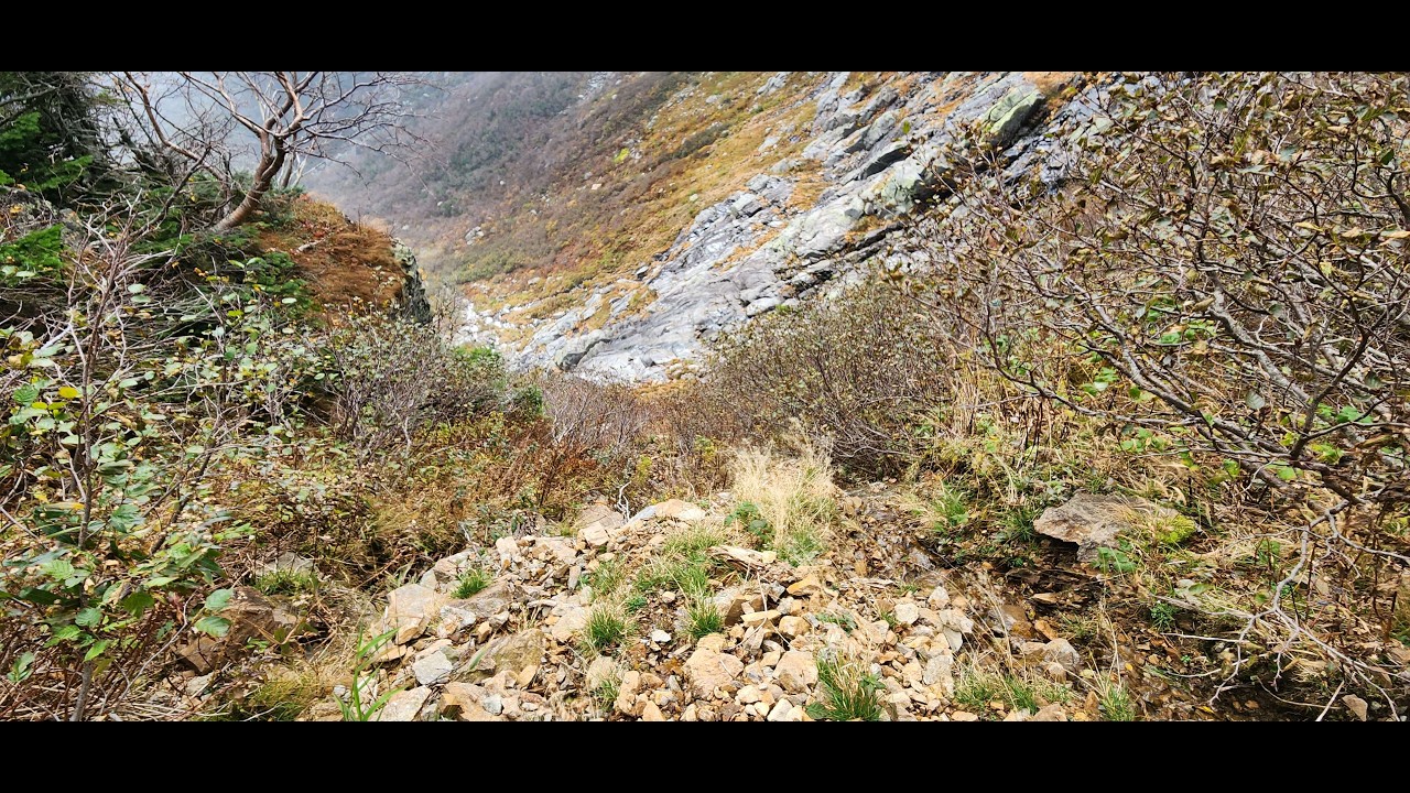 coaching ambig rank up to d3