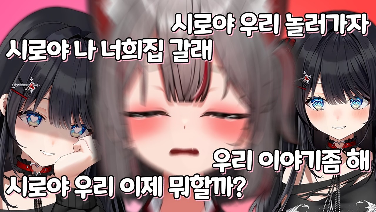 히나가 자꾸 달라붙어서 귀찮은(?) 고양이 시로 ㅋㅋㅋㅋㅋ