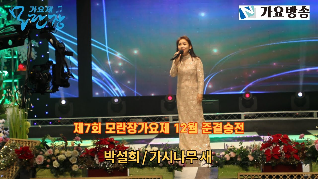 제7회 모란장 가요제 12월 준결승전 l 박설희 '가시나무 새' ㅣ #가요방송 #가요제 #트로트