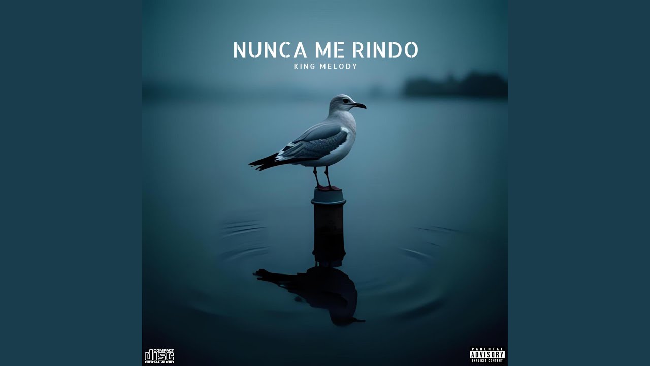 Nunca me Rindo
