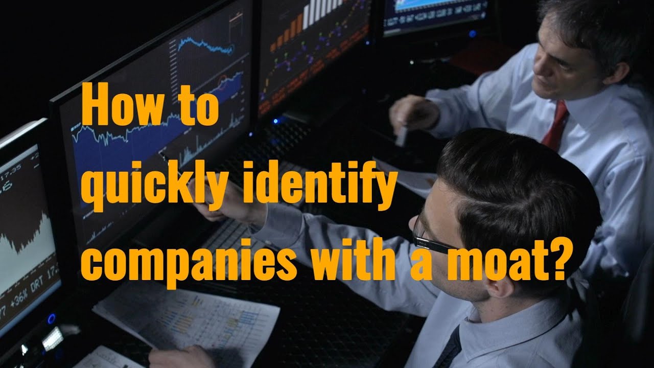 How to quickly identify companies with a moat?