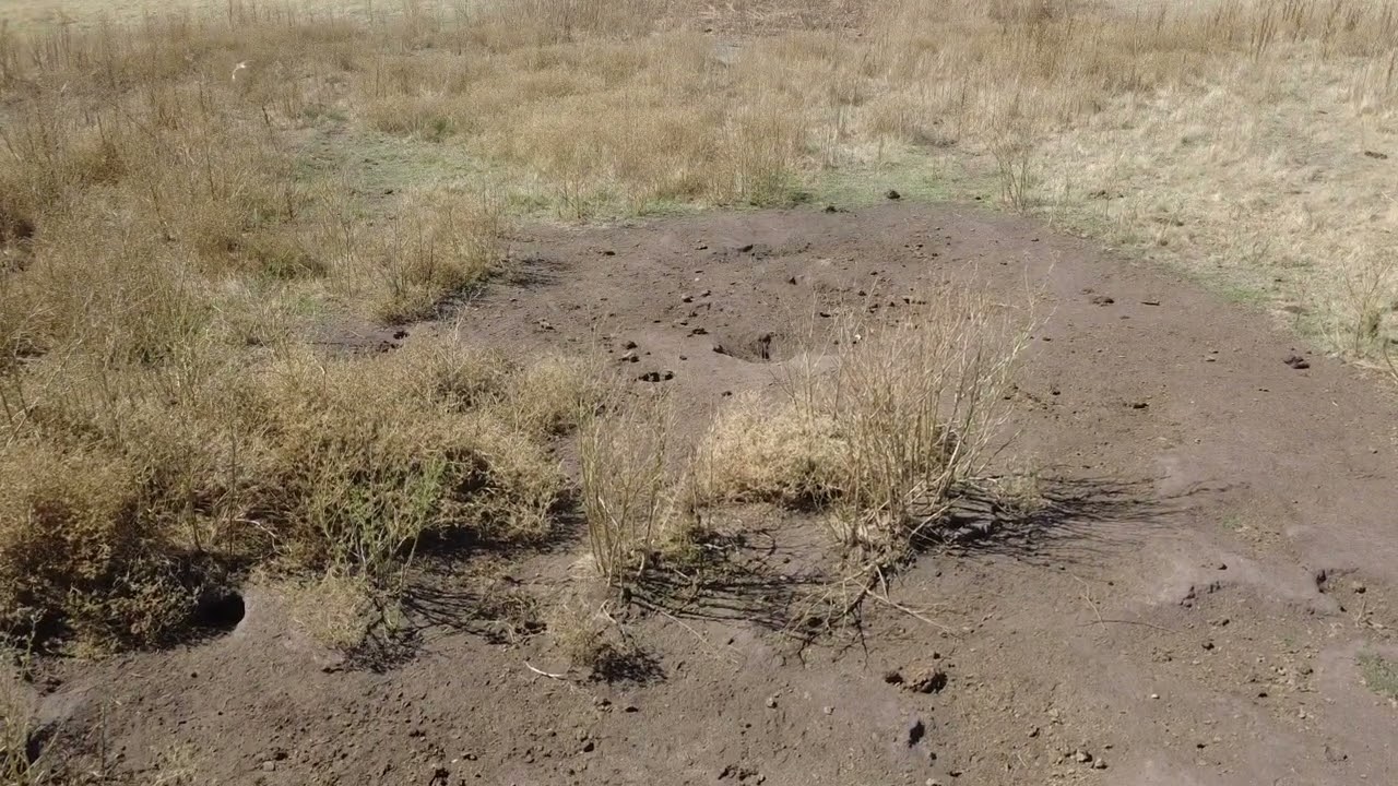 2026.02.17 La Dorita DJI 0054