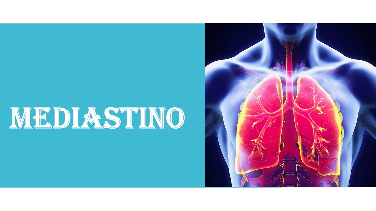 MEDIASTINO