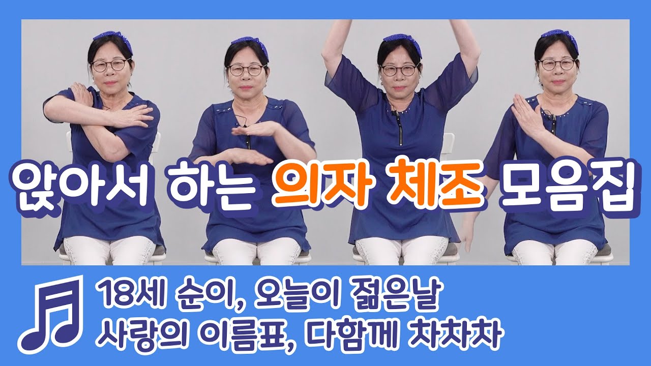 의자 체조 모음 집