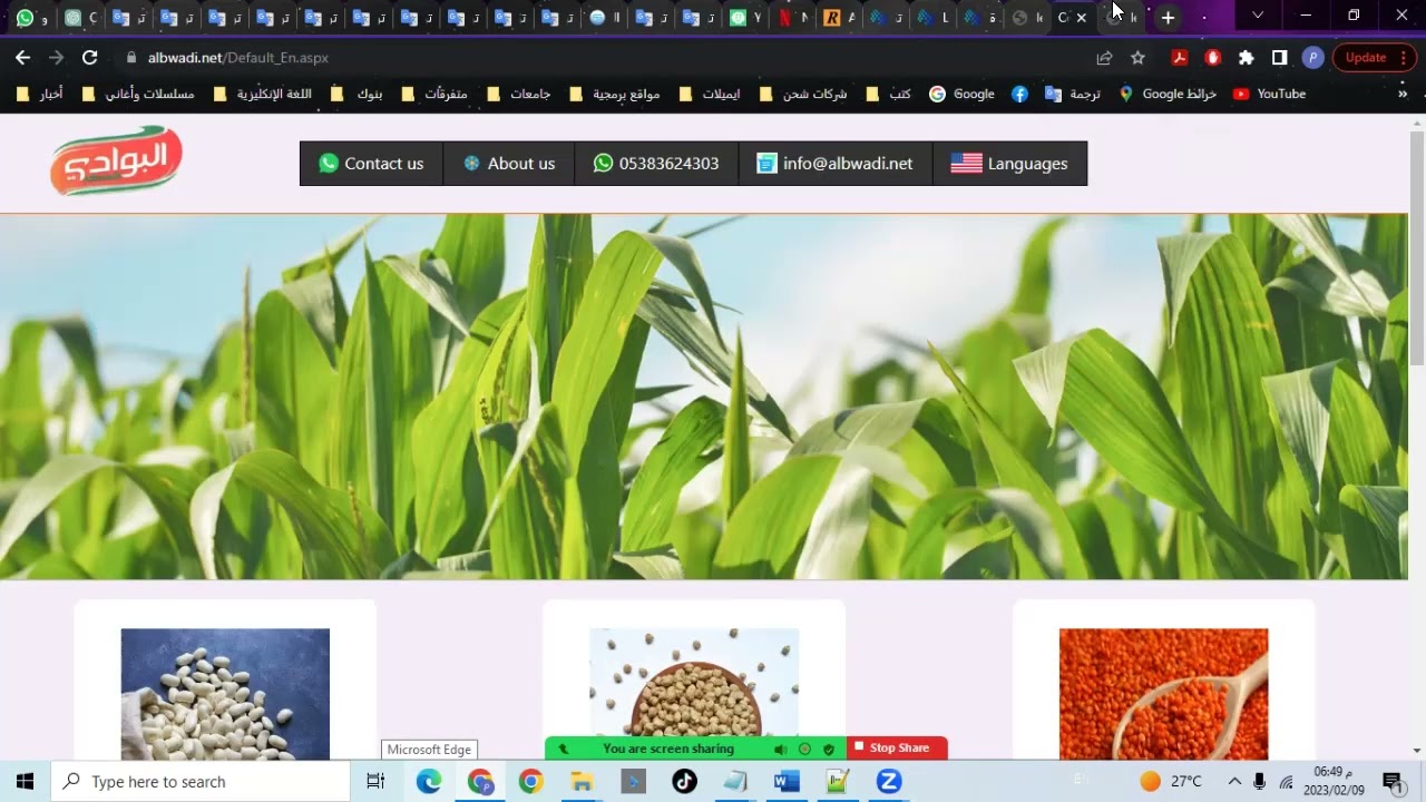 موقع إلكتروني برمجة كاملة بلغة الـASP.NET