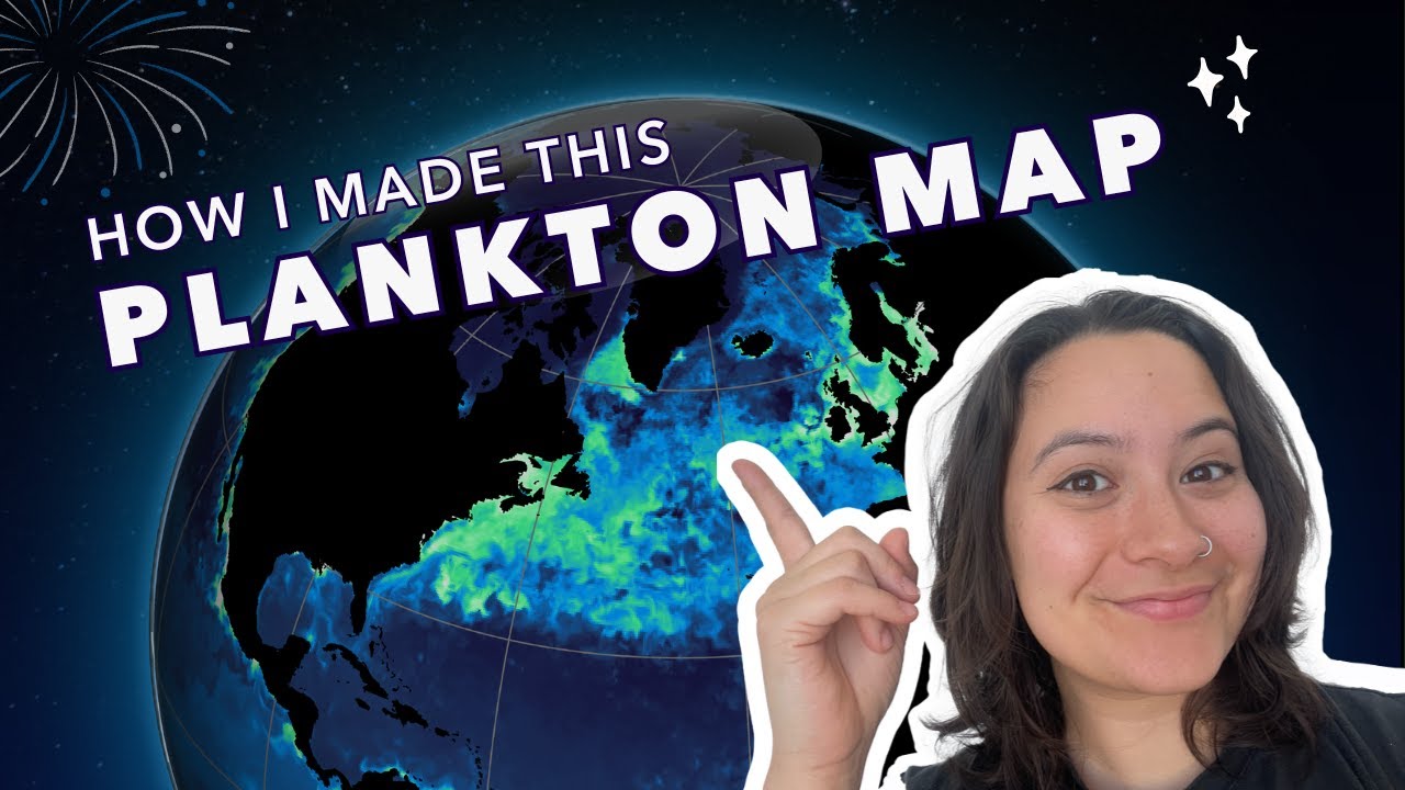Animated Mapping in QGIS, Adobe Illustrator, and Adobe Premiere using Copernicus Marine Service Data
