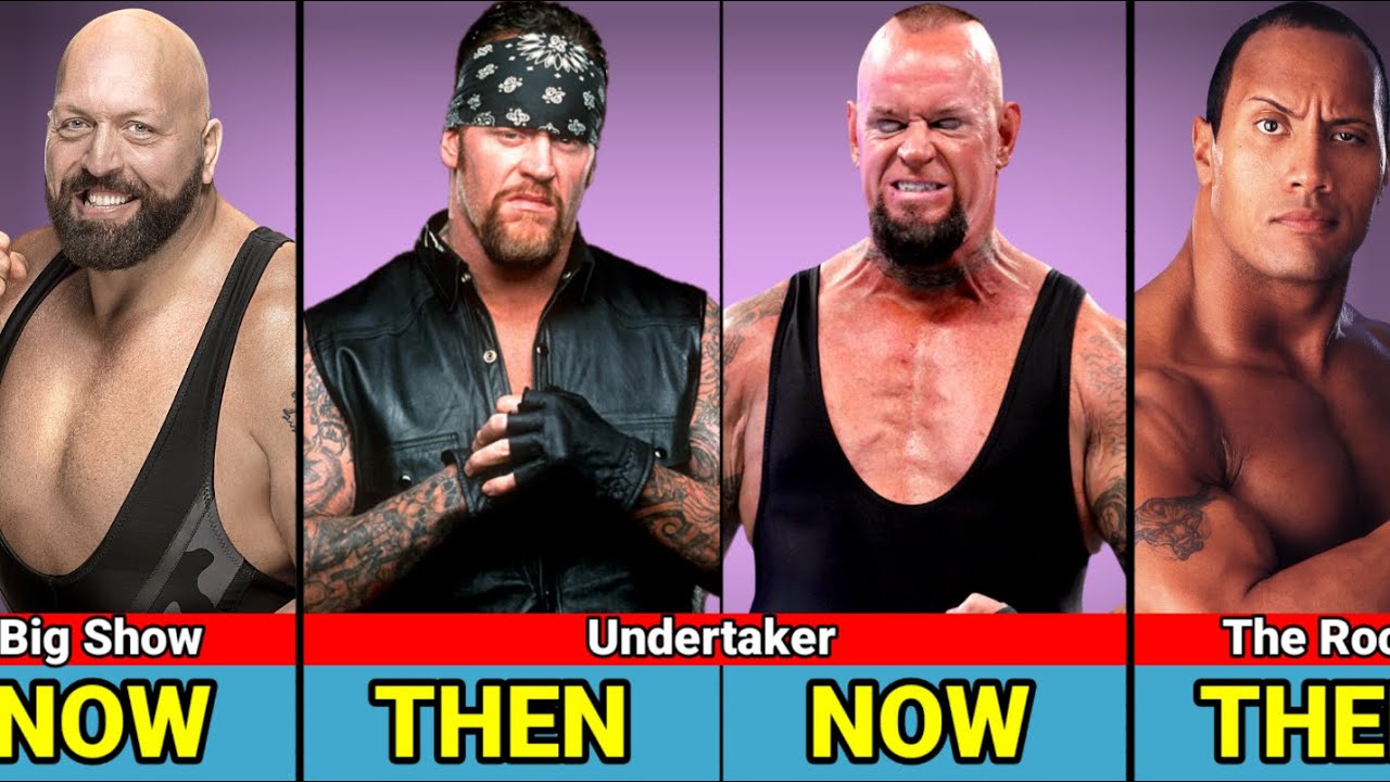 WWE Attitude Era All Superstar Then vs Now : WWE to WWE