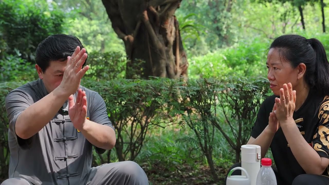 Chen Taijiquan traditions SUBTITLED (xiaojia, dajia, laojia, xinjia, jiachuan gongfujia)
