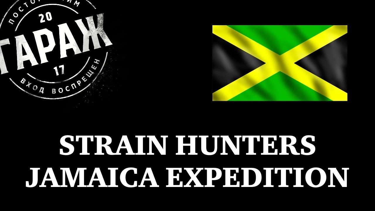 Strain Hunters Jamaica Expedition русский перевод и озвучка Гараж