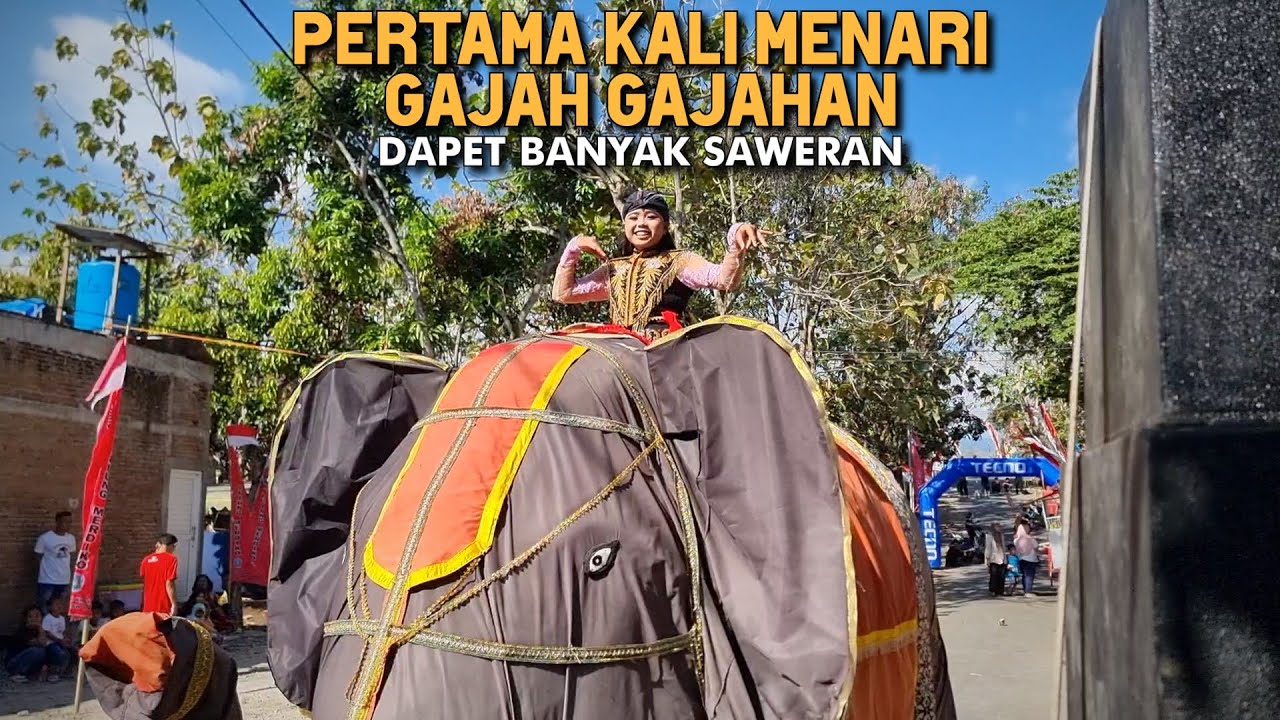 pertama kali naik gajah-gajahan banyak saweran di desa pulung merdiko