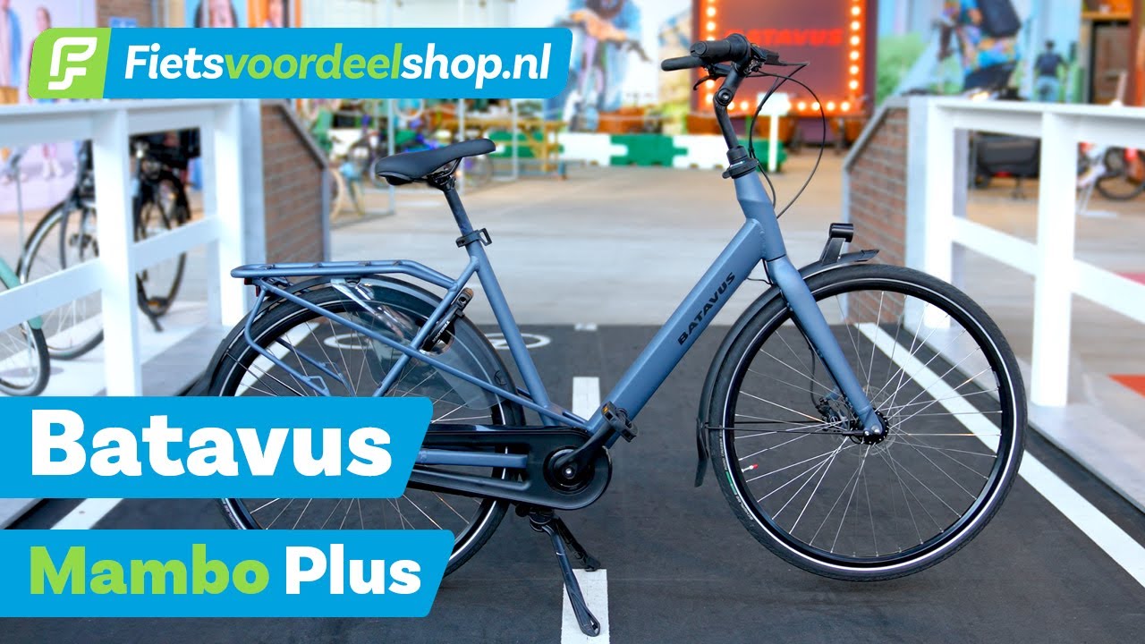 Batavus Mambo Familiefiets - Alle ruimte voor Kinderzitjes