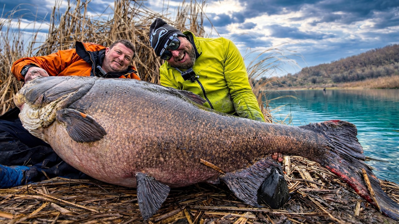 СЧУПИХМЕ СВЕТОВНИЯ РЕКОРД 1,60 МЕТРА ЧУДОВИЩЕ!!! WORLD RECORD BIGHEAD CARP!!!
