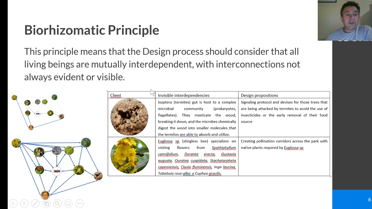 SDS2021 - ARticle 80 -  Principles of a Pos-anthropocentric Design: reflections on a case study