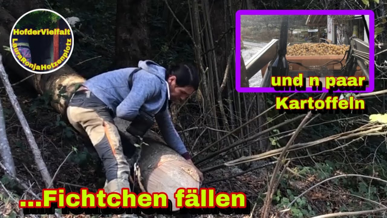 Bäume fürn Saustall | Neues Schwert für die Alte Husqi | Kartoffeln abladen - Winterfutter | DIY