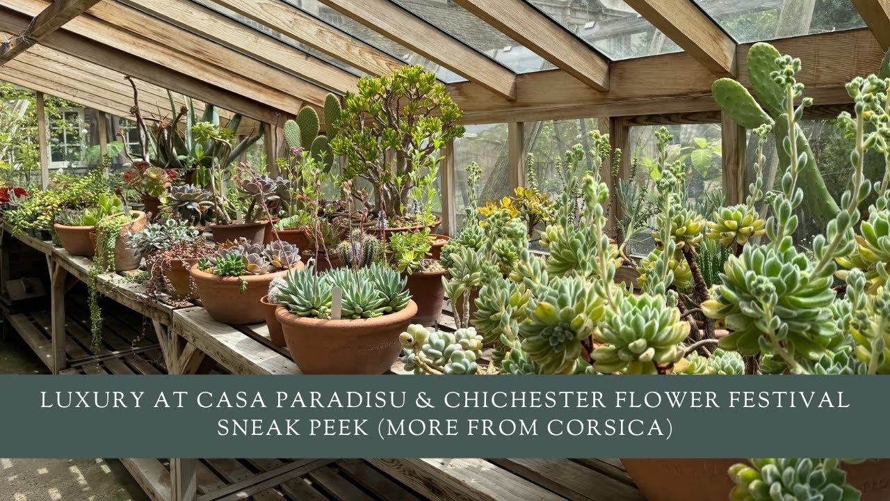 Weekly Vlog: Luxury at Casa Paradisu & Chichester Flower Festival Sneak Peek (More From Corsica)