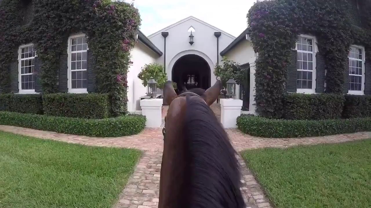 A day in the life of a horse rider | Wellington, FL | E2 Stables
