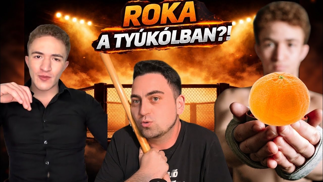 MMA harcosb&oacute;l ,,B&Eacute;KEHARCOS