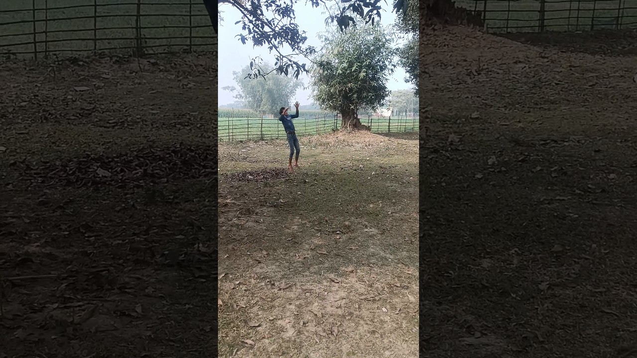 Back platform Flipkart back flip back hand spin Einstein #backsupport #flipgrip #airflip #treflip