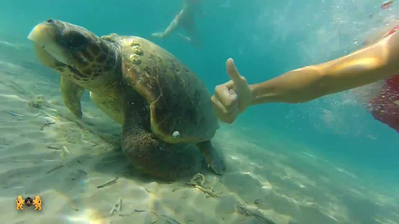 Promo Video - Zakynthos 2013