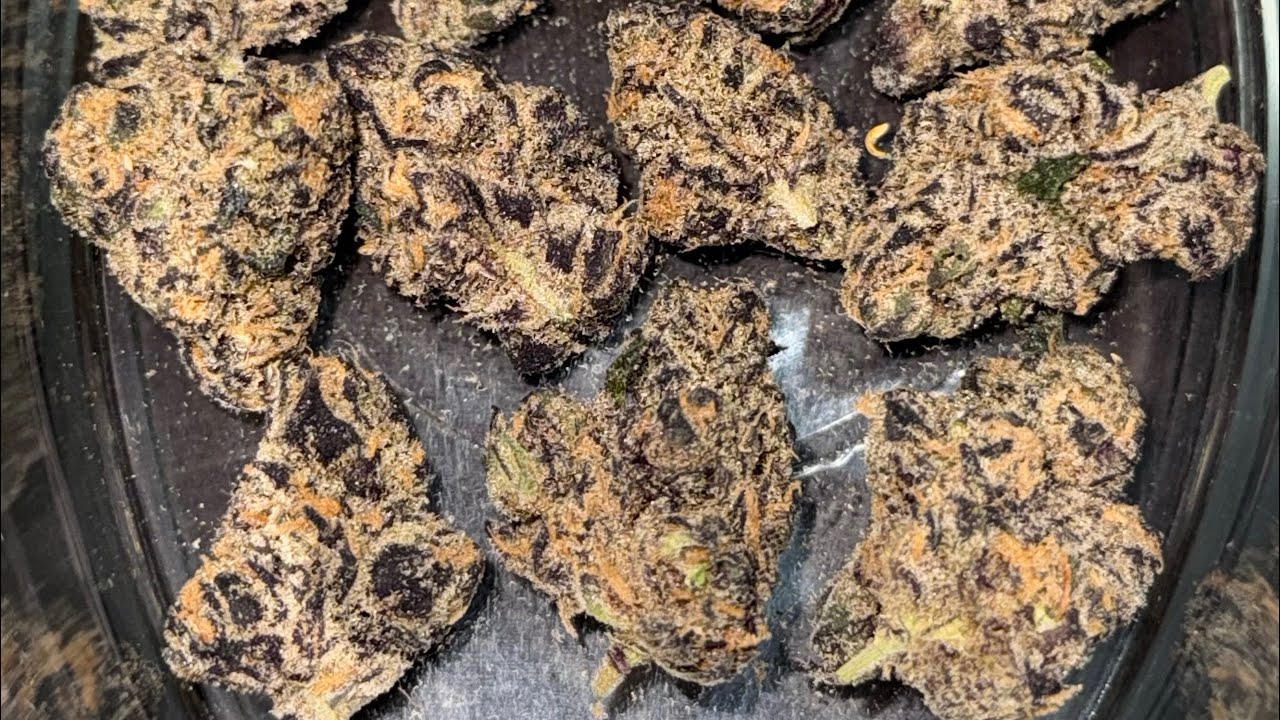 FOUR 20 PHARMA GGS T23 Grape Gas REVIEW