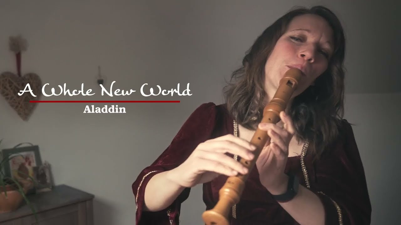 [Valentine Special] Disney Romantic Medley - Soprano/Alto Recorder Cover
