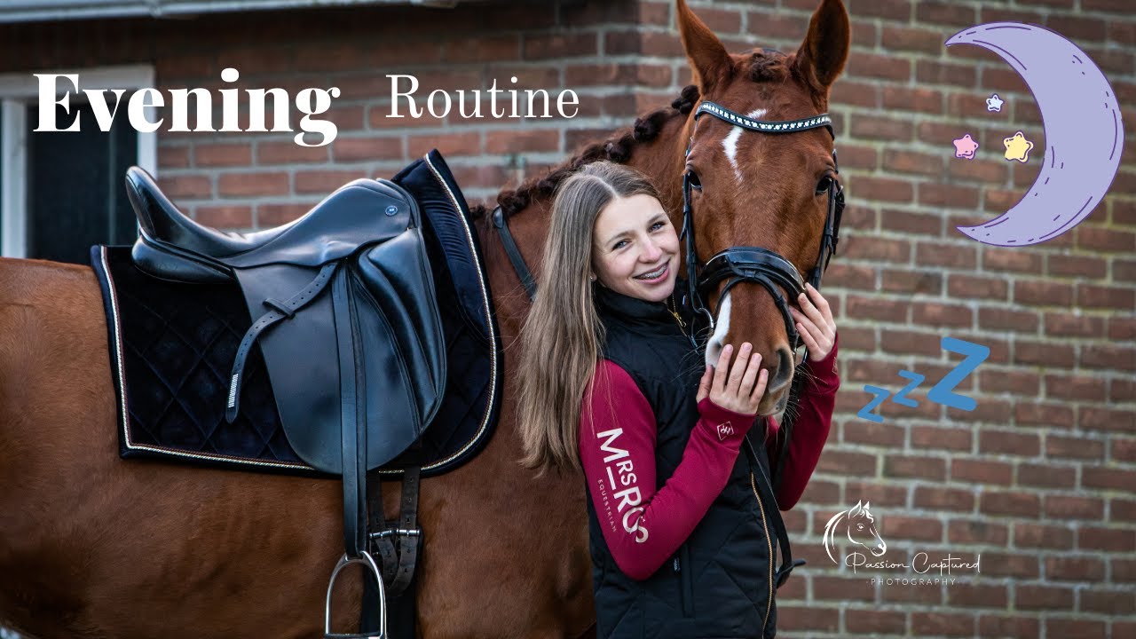 Mijn avond routine op stal!