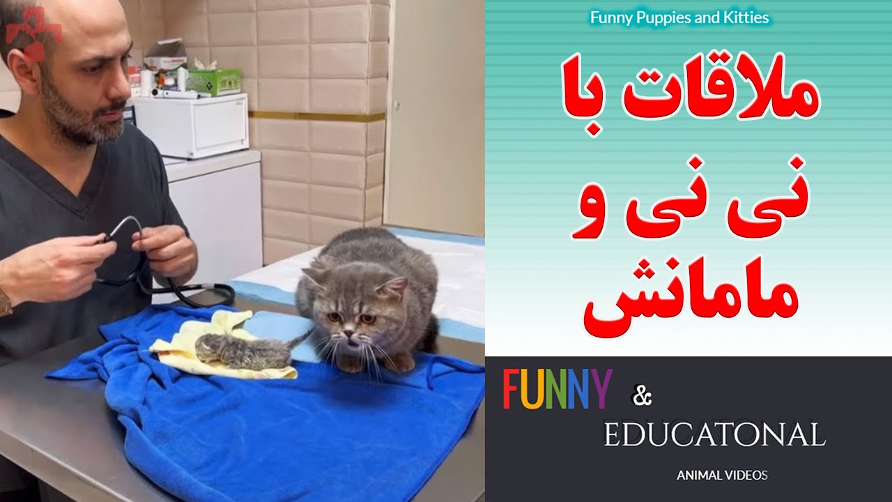 ملاقات با نی نی و مامانش