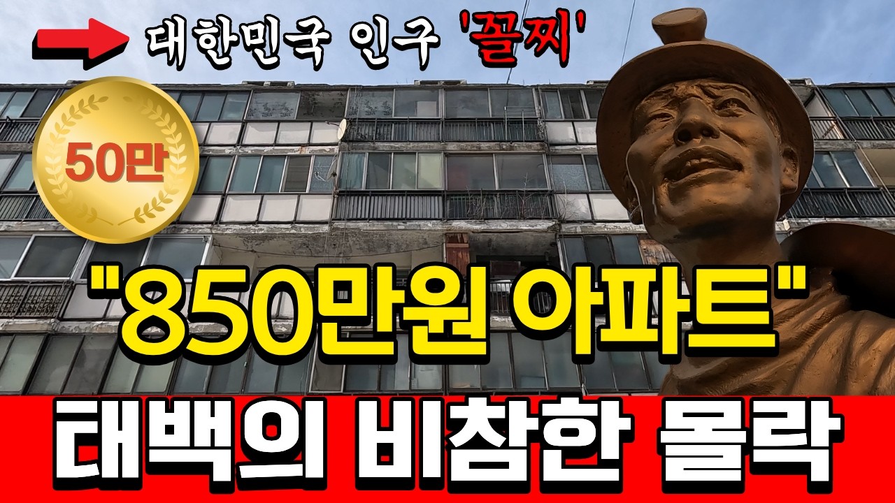 매달 70명이 사라지는 도시.. 강원도 태백의 잔혹한 현실