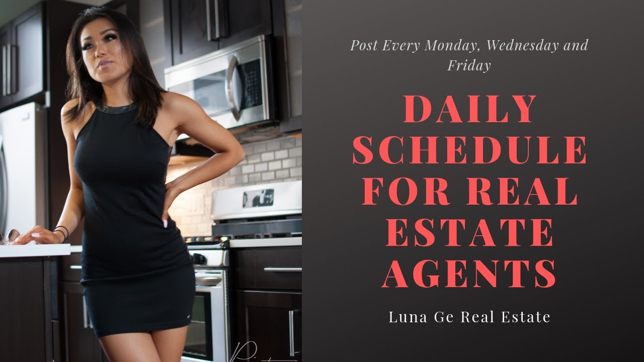 what should you do everyday as a real estate agent |My daily schedule