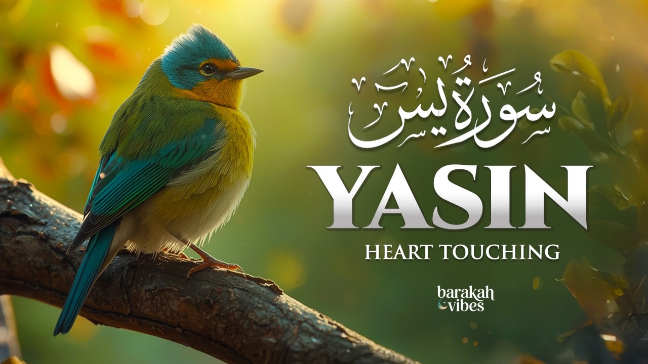 Surah Yaseen (Yasin) سورة يس | Relaxing Quran Recitation for Ultimate Protection & Sleep #yasin