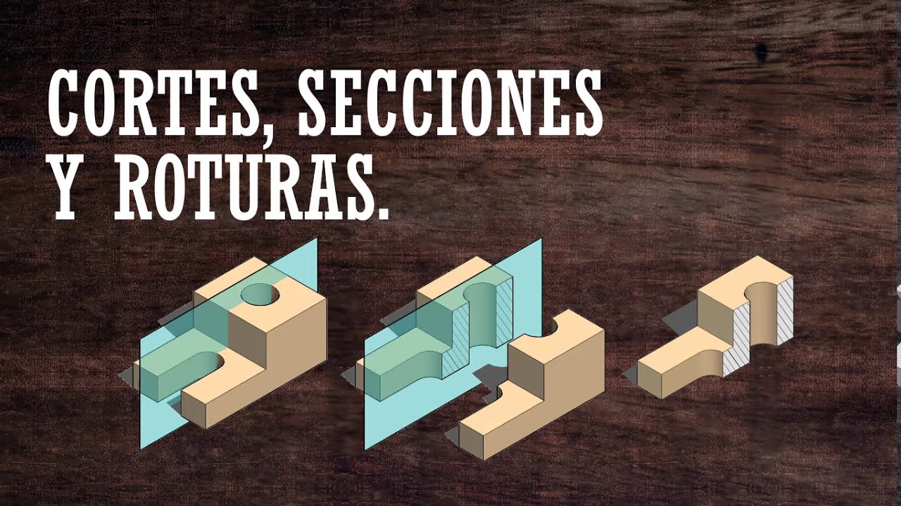 CORTES, SECCIONES Y ROTURAS