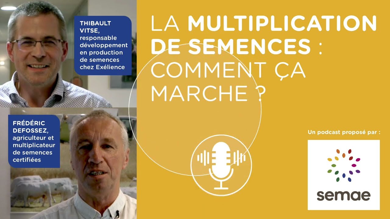 La multiplication de semences : comment ça marche ?