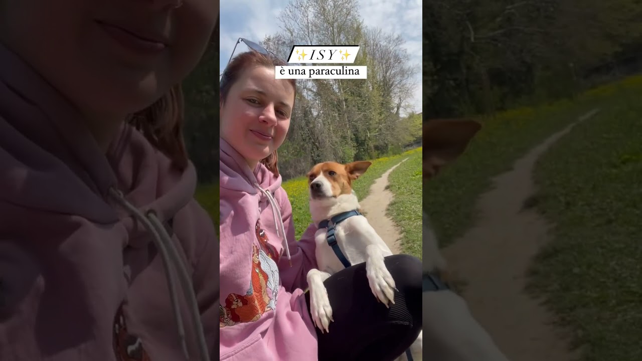 Vita da Dogsitter 🐶