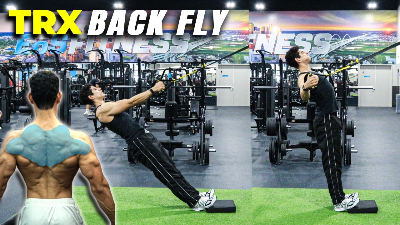 HOW TO: TRX Back Fly | BEST GUIDE | Traps, Rhomboids, Rear Deltoids