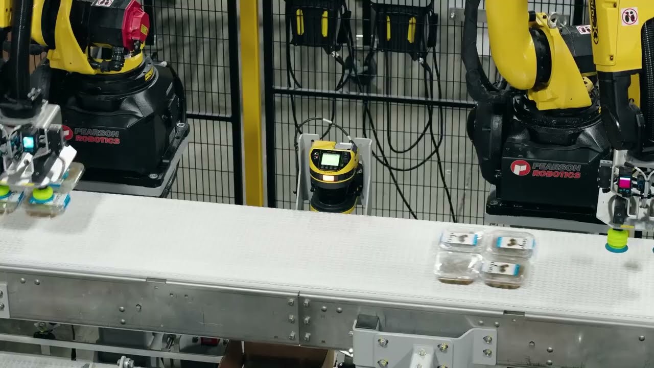 Robotic Packing & Palletizing Tubs of Olives by Pearson Packaging Systems