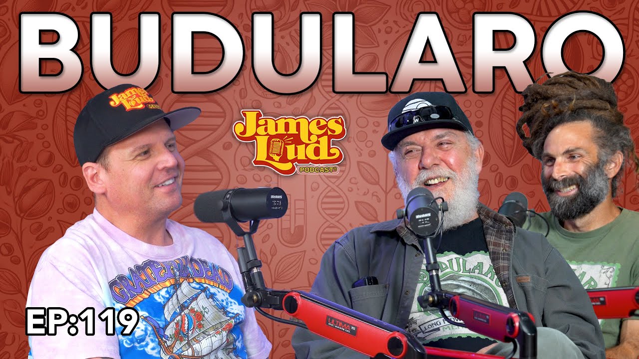 Tony and Dave from Budularo | James Loud Podcast EP#119