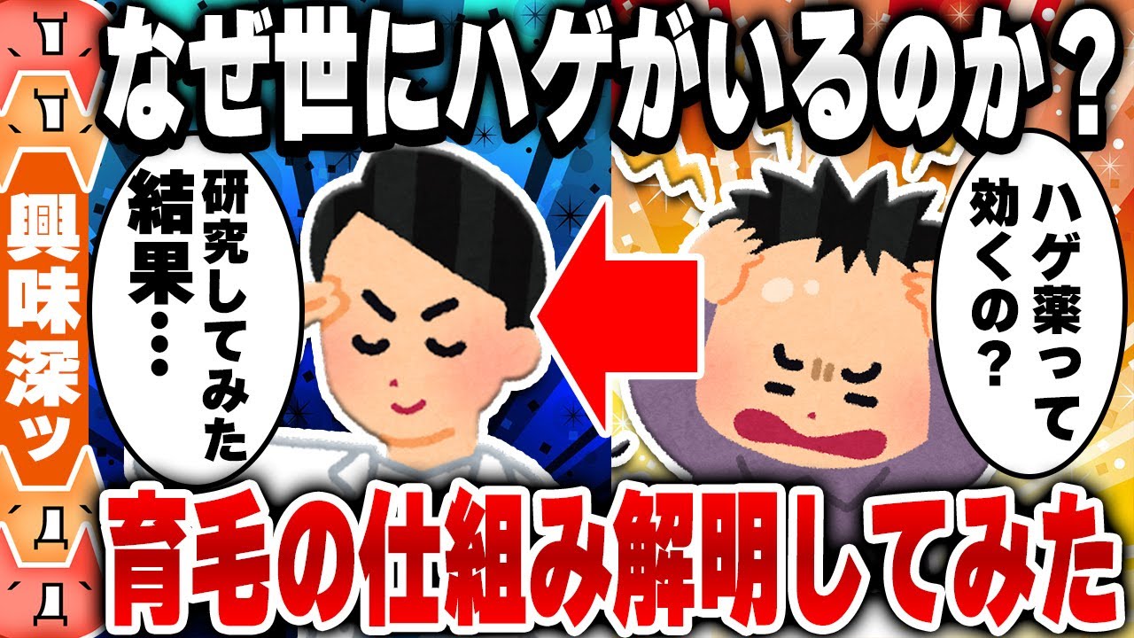 【2ch身体の雑学スレ】ハゲ薬の研究してた俺があれこれ書いてく [ ゆっくり解説 ]