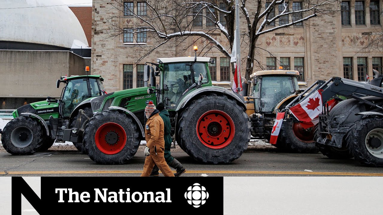 Canadian cities prepare for solidarity protests