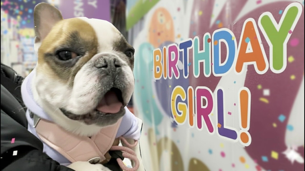 Threw My Dog the CUTEST Birthday Party Ever 🎉