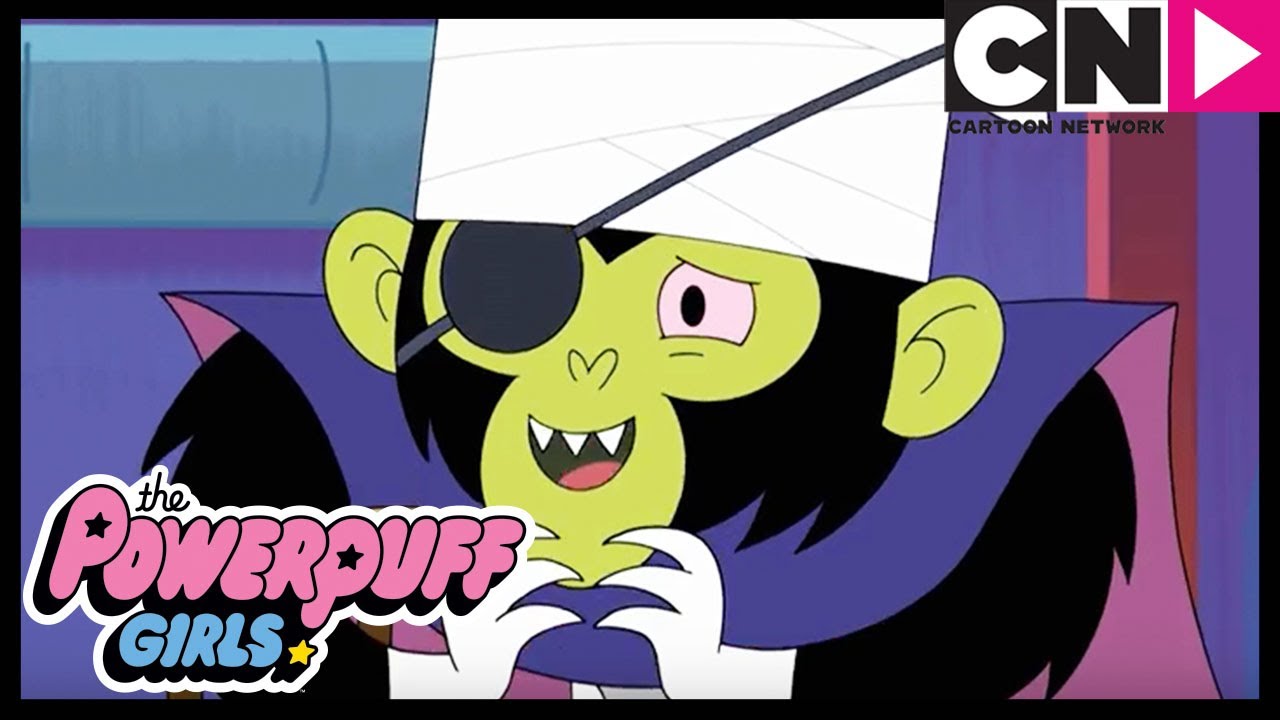Atom&oacute;wki | Mojo Jojo uwielbia kotki | Cartoon Network