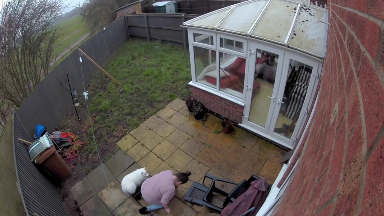Woman Slips And Falls on Her Knees on Wet Backyard Stones - 1182719