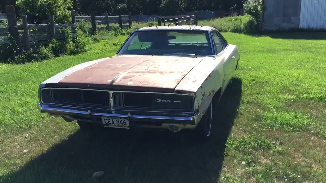 Two 1969 Dodge chargers found being guarded by killer mosquitoes and rust