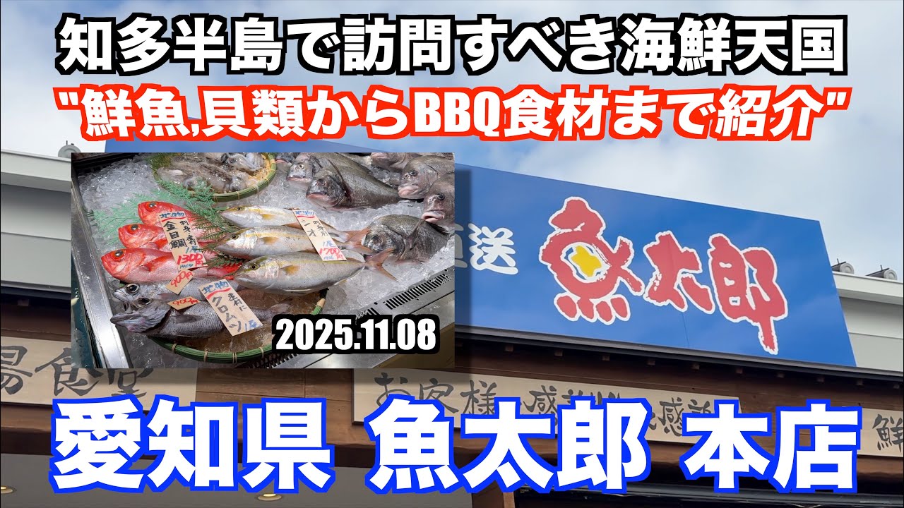 【魚太郎 知多半島で訪問すべき海鮮天国 鮮魚,貝類からBBQ食材まで紹介】あばお 海鮮ちゃんねる #434 2025.11.08