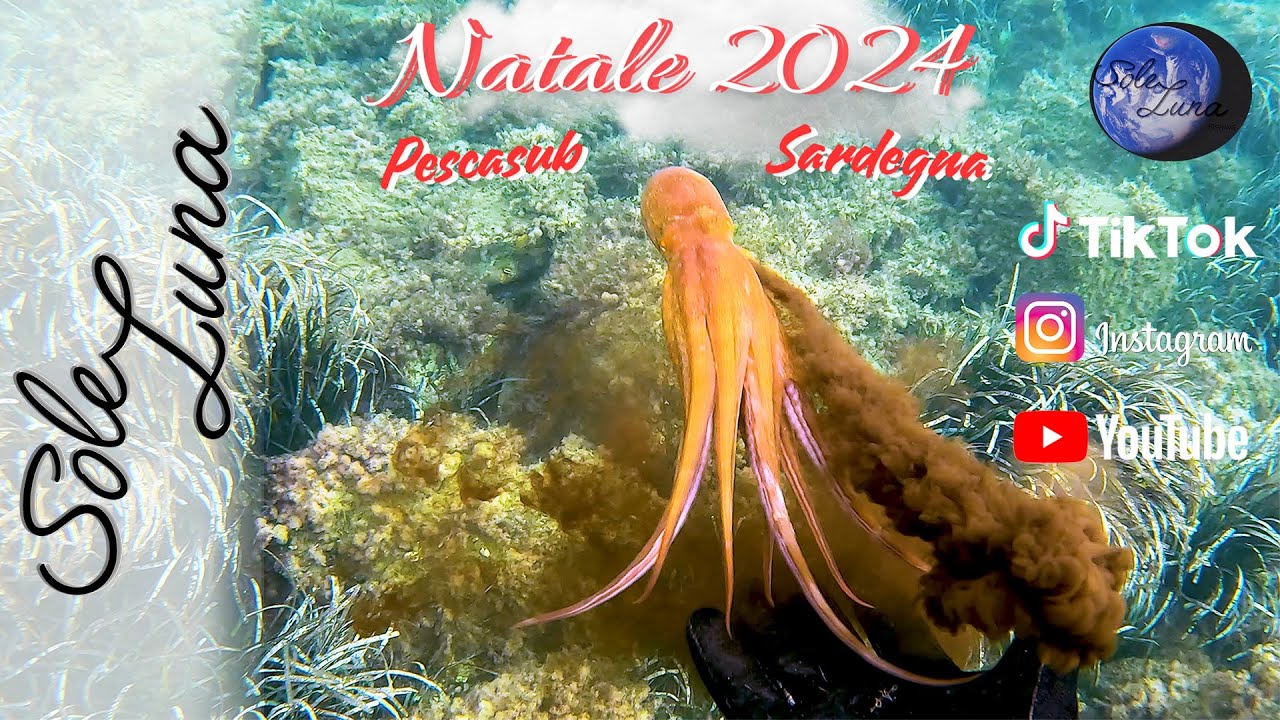 Spearfishing Christmas 2024: в поисках рыбы для рождественского ужина. Сардиния Polespear